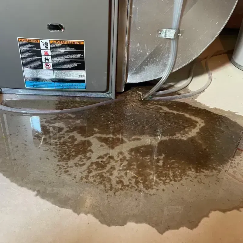 Appliance Leak Cleanup in Crosby County, TX